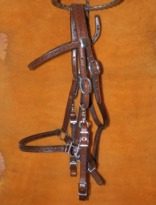 Halter Bridle