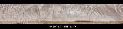 Curly Maple - 44 3/4" x 7 15/16" x 1"+ - $52.00