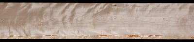 Wide Curly Yellow Birch - 59 1/4" x 10 1/8" x 7/8" - $55.00