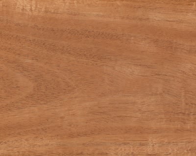 8/4 SPANISH CEDAR