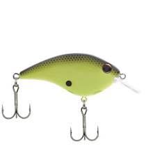 Berkley Dime 10  2 1/2" Black Chartreuse