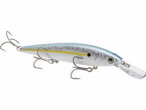 Strike King KVD J200 Jerk Bait Sexy Shad