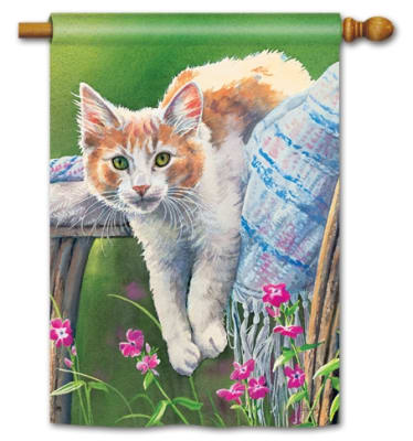 Kitty Cool Down BreezeArt Standard House Flag