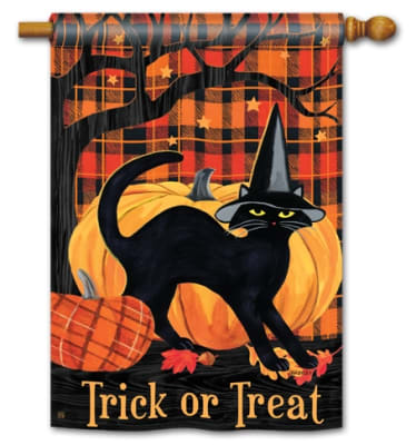 Witch Hat Cat BreezeArt Standard House Flag