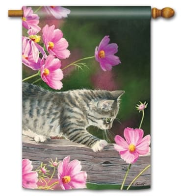 Curious Kitty BreezeArt Standard House Flag