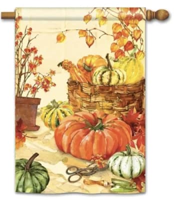 Heirloom Pumpkin BreezeArt Standard House Flag