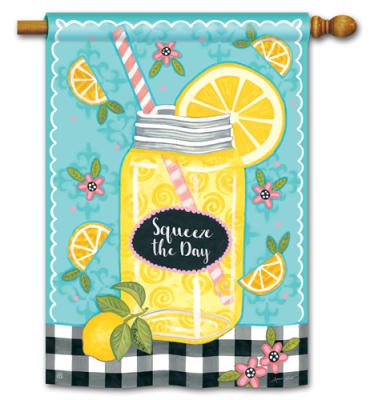 Squeeze The Day BreezeArt Standard House Flag