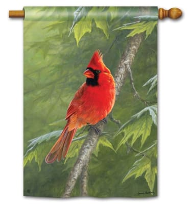 Cardinal BreezeArt Standard House Flag