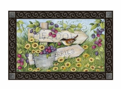 Fresh Blackberries MatMates Decorative Doormat