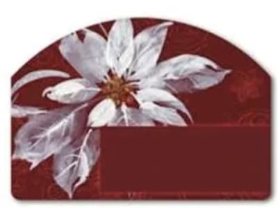 White Poinsettia Yard DeSigns
