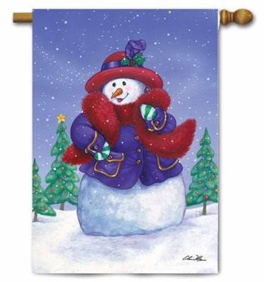 Red Hat Snowlady Decorative House Flag