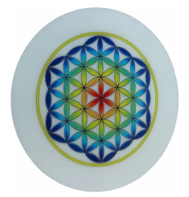 High quality, 3D print 5.75" circular LmultiFOL-2 lenticular