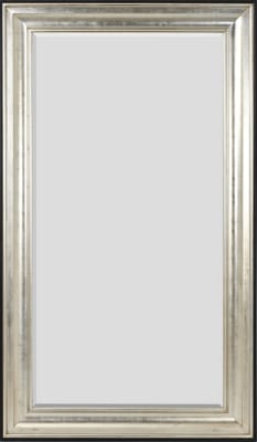 Raven Mirror in Silver Finish by AFD Home - AFD-12017969