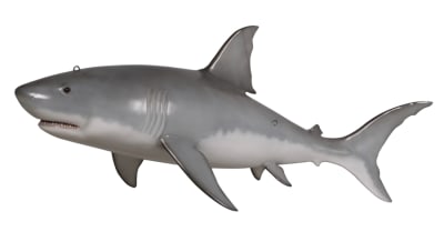 Great White Shark in Silver and White Finish by AFD Home - AFD-12018040
