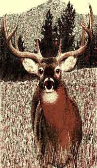 African Elk 5 x 8 Rug by CTC - CTC-AF-Elk