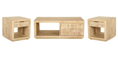 Laguna 3 Piece Rectangular Storage Occasional Table Set in Bleached Natural Finish by Parker House - PH-LAG-KIT-3A-OC