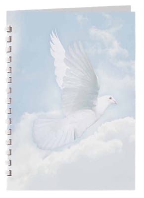 leatherette cover with 15 ring plastic comb binding.