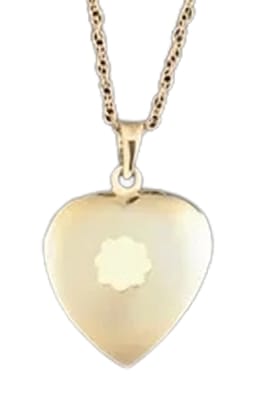 cremation pendant 14k gold heart with matching chain and jewelry case
