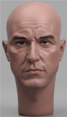 Dan Realistic Male Display Head