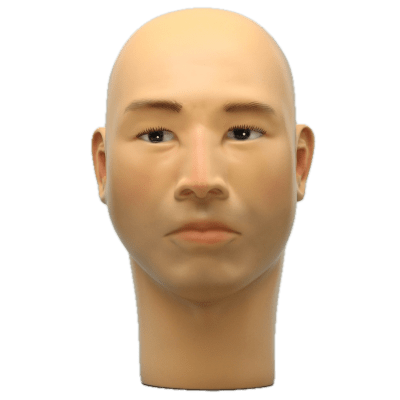 Asian male mannequin head with realistic features in neutral flesh tone