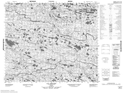 033L01 - LAC AMOUNET - Topographic Map