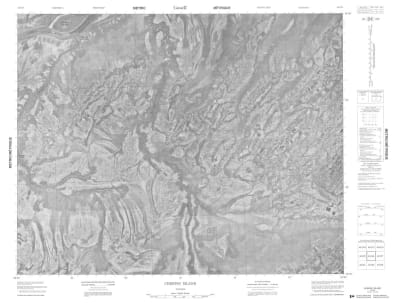 042O06 - CHEEPAY ISLAND - Topographic Map