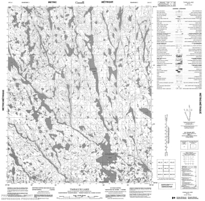 046L02 - TASIALUK LAKE - Topographic Map
