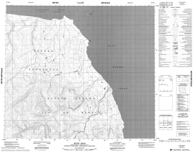 048D10 - BLUFF HEAD - Topographic Map