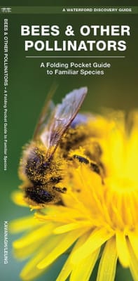 Bees & Other Pollinators pocket guide. About 75 percent of the crop plants grown worldwide depend on pollinators, bees, butterflies, birds, bats and other animals for fertilization. Bees alone are responsible for pollinating more species of plants