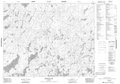 052N11 - PRINGLE LAKE - Topographic Map