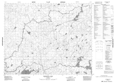 052N14 - NECHIGONA LAKE - Topographic Map