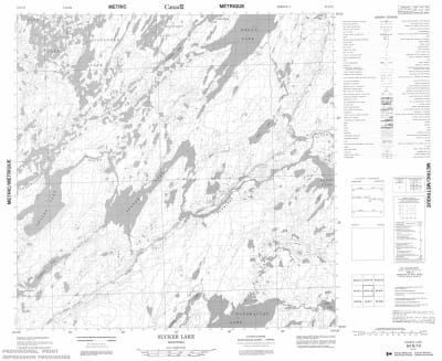 064N10 - SUCKER LAKE - Topographic Map