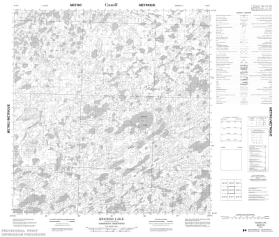 065E03 - RIDGERS LAKE - Topographic Map