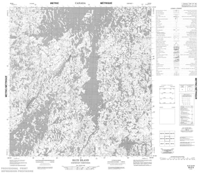 065E09 - BLUE ISLAND - Topographic Map