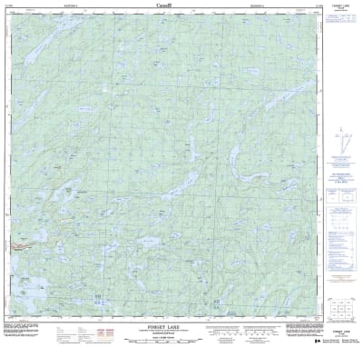 074N09 - FORGET LAKE - Topographic Map