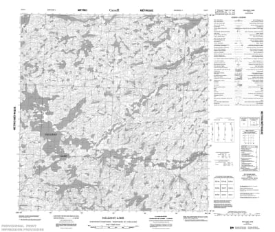 075F07 - HALLIDAY LAKE - Topographic Map