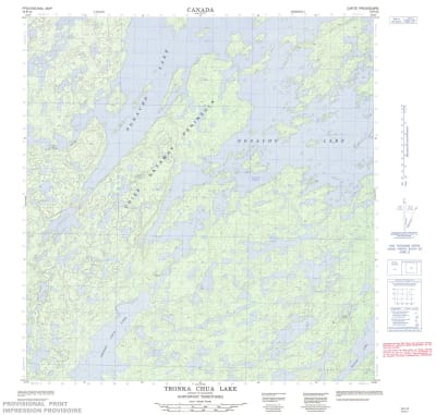 075F12 - TRONKA CHUA LAKE - Topographic Map