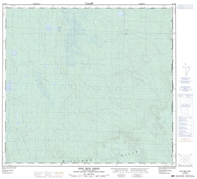 094H09 - RING REID CREEK - Topographic Map