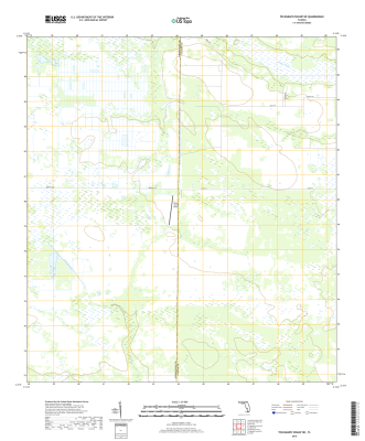 Telegraph Swamp NE Florida - 24k Topo Map