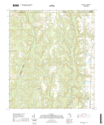 Walnut Hill Florida - Alabama - 24k Topo Map