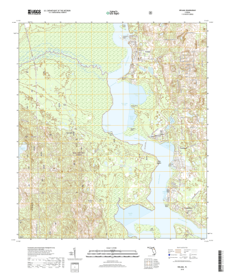 Welaka Florida - 24k Topo Map