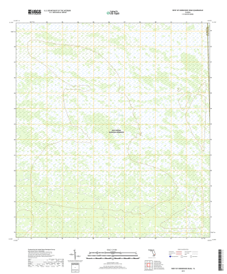 West of Horseshoe Head Florida - 24k Topo Map