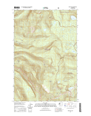 White Pass Washington  - 24k Topo Map