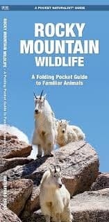 Rocky Mountain Wildlife pocket guide. The Rocky Mountains straddle the Western Continental Divide and have a range of elevations as well as wet and dry areas, providing a diversity of habitat for wildlife. Rocky Mountain Wildlife is the ideal pocket sized