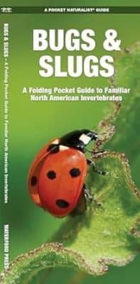 Bugs & Slugs folding pocket guide. A Folding Pocket Guide to Familiar North American Invertebrates. This beautifully illustrated guide describes bees, ants, beetles, butterflies, moths, flying insects, grasshoppers, cicadas, true bugs, spiders, household