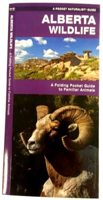 Alberta Wildlife Folding Pocket Guide. Alberta Wildlife is the perfect pocket-sized, folding guide for the nature enthusiast. The beautifully illustrated guide highlights over 140 familiar species of birds, m