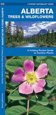 Alberta Trees & Wildflowers Folding Pocket Guide.   Alberta Trees & Wildflowers is the perfect pocket-sized, folding guide to familiar trees, shrubs and wildflowers. This beautifully illustrated guide highlights over 140 familiar species and includ