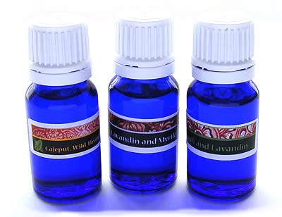 photo of Becoming Moonlight Terps from Mehandi.com