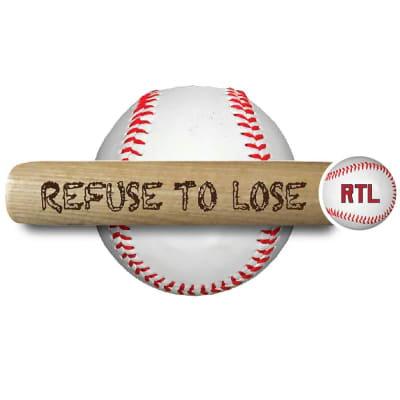 Personalized mini baseball bats. Engrave a bat with your own slogan!