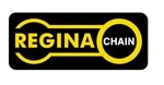 Regina Chain & Sprocket Kit 530ZRD chain and sprocket kit for GSF600S Bandit 600S